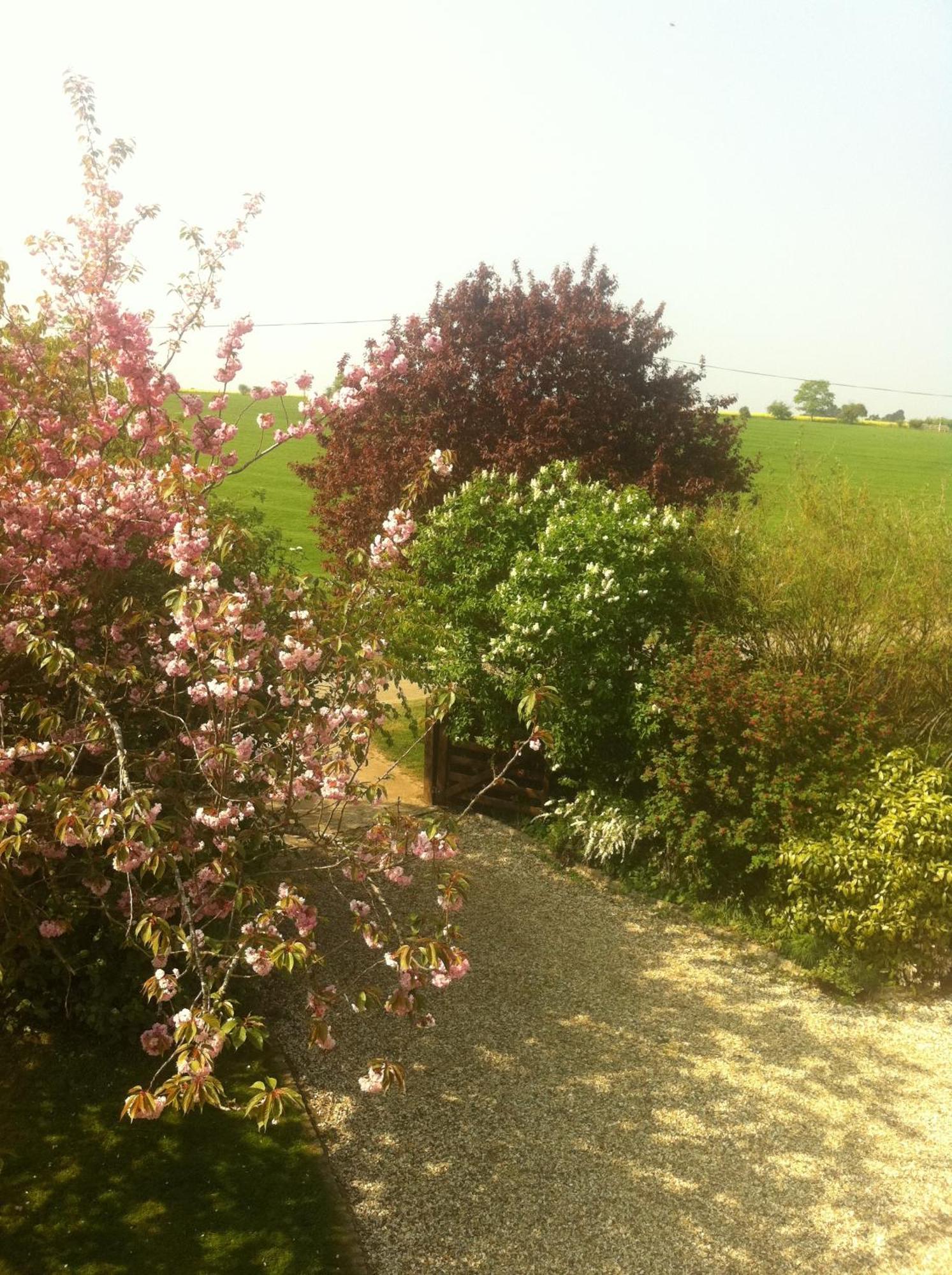 Whitchurch Farm Guesthouse Alderminster Exterior foto